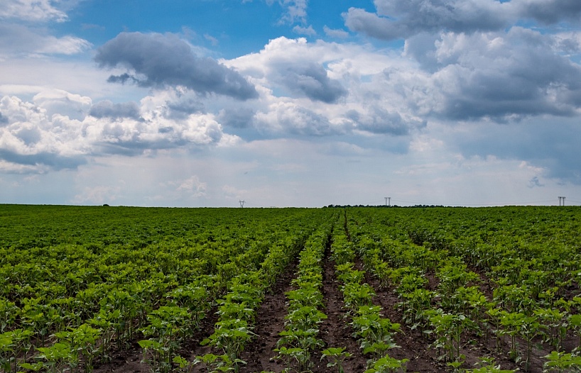 Supporting the full lifecycle of farm operations with SAP solutions